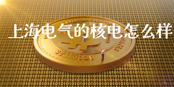 上海电气的核电怎么样_https://wap.jnbaishite.cn_金融资讯_第1张