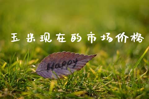 玉米现在的市场价格_https://wap.jnbaishite.cn_金融资讯_第1张