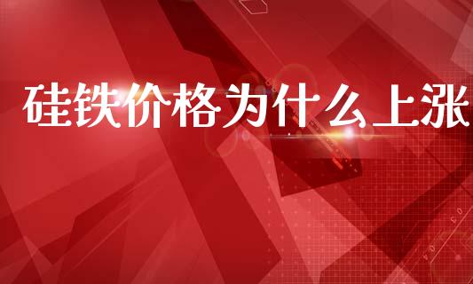 硅铁价格为什么上涨_https://wap.jnbaishite.cn_期货资讯_第1张
