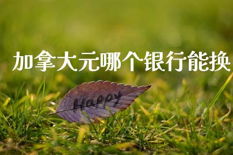 加拿大元哪个银行能换_https://wap.jnbaishite.cn_期货资讯_第1张