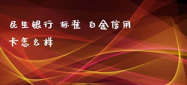 民生银行 标准 白金信用卡怎么样_https://wap.jnbaishite.cn_理财投资_第1张