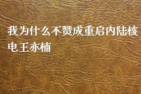 我为什么不赞成重启内陆核电王亦楠_https://wap.jnbaishite.cn_理财投资_第1张