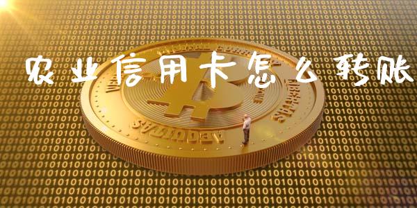 农业信用卡怎么转账_https://wap.jnbaishite.cn_期货资讯_第1张
