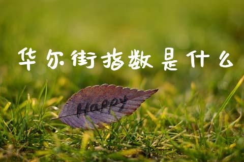 华尔街指数是什么_https://wap.jnbaishite.cn_理财投资_第1张