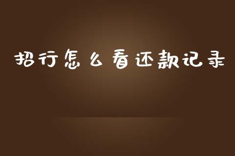 招行怎么看还款记录_https://wap.jnbaishite.cn_金融资讯_第1张