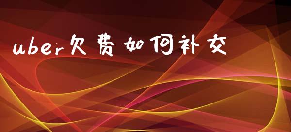 uber欠费如何补交_https://wap.jnbaishite.cn_金融资讯_第1张