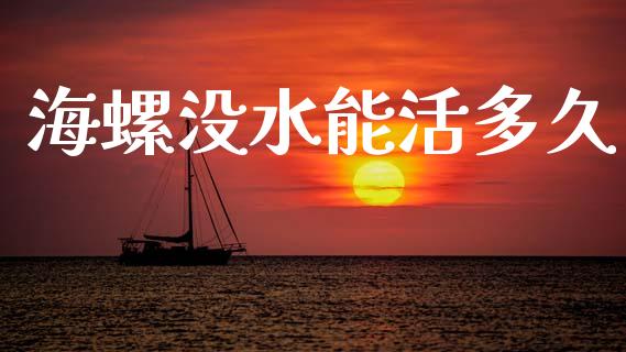 海螺没水能活多久_https://wap.jnbaishite.cn_全球财富_第1张