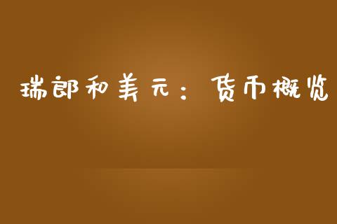 瑞郎和美元：货币概览_https://wap.jnbaishite.cn_期货资讯_第1张