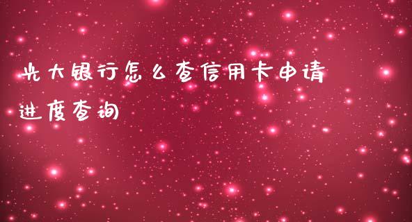 光大银行怎么查信用卡申请进度查询_https://wap.jnbaishite.cn_理财投资_第1张