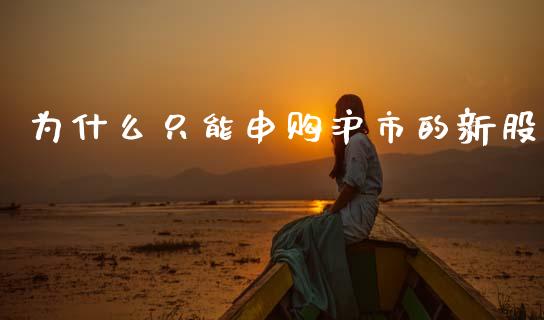 为什么只能申购沪市的新股_https://wap.jnbaishite.cn_期货资讯_第1张