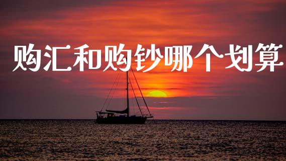 购汇和购钞哪个划算_https://wap.jnbaishite.cn_金融资讯_第1张