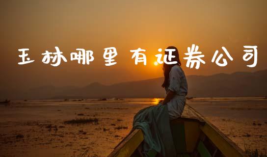 玉林哪里有证券公司_https://wap.jnbaishite.cn_全球财富_第1张