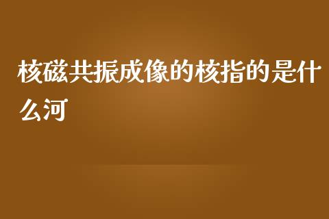 核磁共振成像的核指的是什么河_https://wap.jnbaishite.cn_金融资讯_第1张