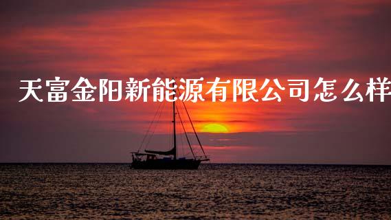 天富金阳新能源有限公司怎么样_https://wap.jnbaishite.cn_金融资讯_第1张