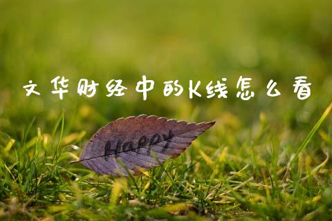 文华财经中的K线怎么看_https://wap.jnbaishite.cn_全球财富_第1张