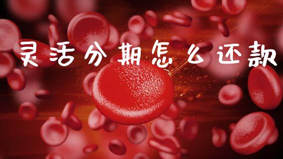 灵活分期怎么还款_https://wap.jnbaishite.cn_全球财富_第1张