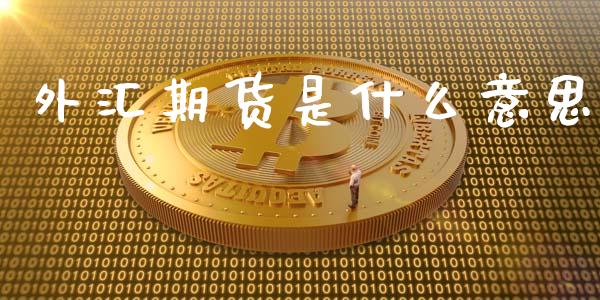 外汇期货是什么意思_https://wap.jnbaishite.cn_期货资讯_第1张