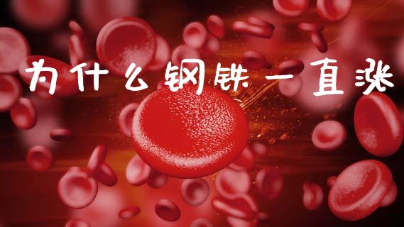 为什么钢铁一直涨_https://wap.jnbaishite.cn_期货资讯_第1张