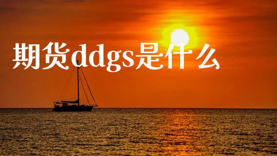 期货ddgs是什么_https://wap.jnbaishite.cn_期货资讯_第1张