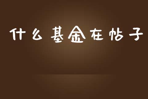什么基金在帖子_https://wap.jnbaishite.cn_全球财富_第1张