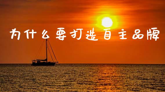 为什么要打造自主品牌_https://wap.jnbaishite.cn_全球财富_第1张