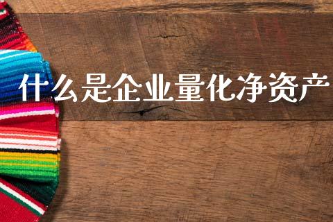 什么是企业量化净资产_https://wap.jnbaishite.cn_理财投资_第1张