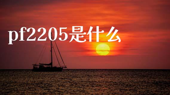 pf2205是什么_https://wap.jnbaishite.cn_期货资讯_第1张