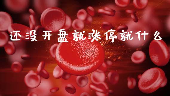 还没开盘就涨停就什么_https://wap.jnbaishite.cn_金融资讯_第1张