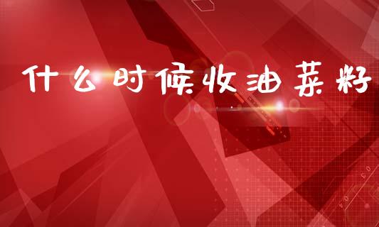 什么时候收油菜籽_https://wap.jnbaishite.cn_理财投资_第1张