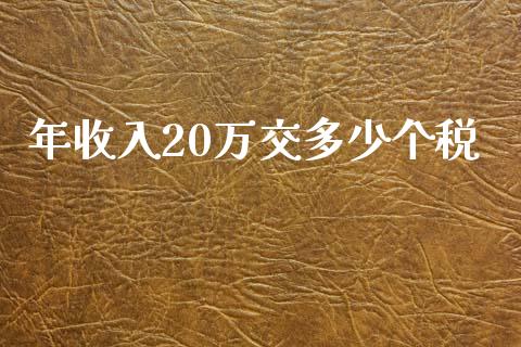 年收入20万交多少个税_https://wap.jnbaishite.cn_金融资讯_第1张