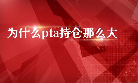 为什么pta持仓那么大_https://wap.jnbaishite.cn_理财投资_第1张