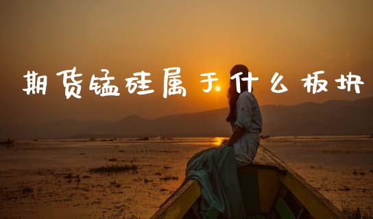 期货锰硅属于什么板块_https://wap.jnbaishite.cn_理财投资_第1张