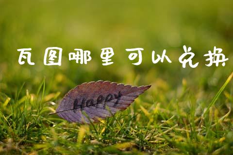 瓦图哪里可以兑换_https://wap.jnbaishite.cn_理财投资_第1张