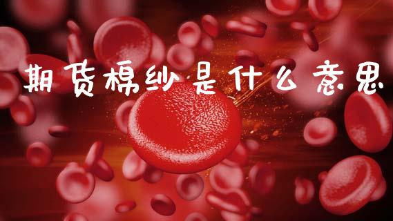 期货棉纱是什么意思_https://wap.jnbaishite.cn_期货资讯_第1张