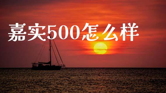 嘉实500怎么样_https://wap.jnbaishite.cn_期货资讯_第1张
