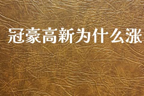 冠豪高新为什么涨_https://wap.jnbaishite.cn_理财投资_第1张