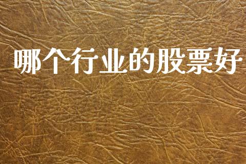 哪个行业的股票好_https://wap.jnbaishite.cn_金融资讯_第1张
