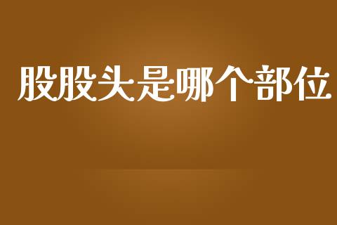 股股头是哪个部位_https://wap.jnbaishite.cn_理财投资_第1张