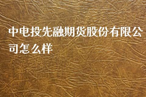 中电投先融期货股份有限公司怎么样_https://wap.jnbaishite.cn_期货资讯_第1张