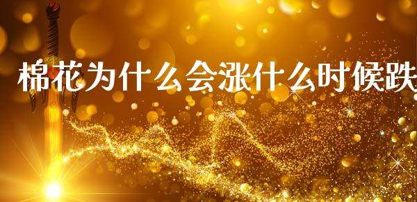 棉花为什么会涨什么时候跌_https://wap.jnbaishite.cn_期货资讯_第1张