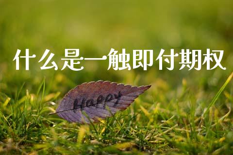 什么是一触即付期权_https://wap.jnbaishite.cn_全球财富_第1张