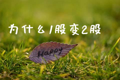 为什么1股变2股_https://wap.jnbaishite.cn_理财投资_第1张
