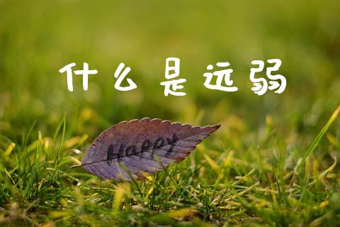 什么是远弱_https://wap.jnbaishite.cn_期货资讯_第1张