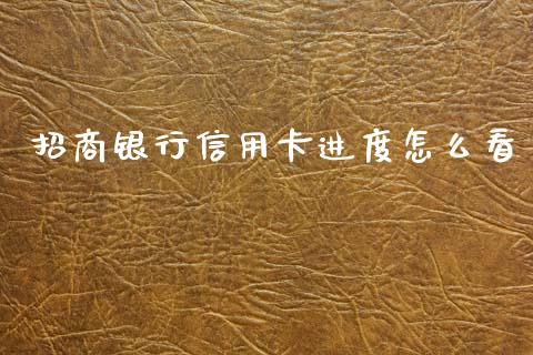 招商银行信用卡进度怎么看_https://wap.jnbaishite.cn_理财投资_第1张