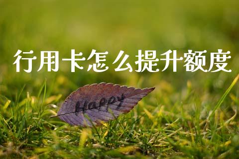 行用卡怎么提升额度_https://wap.jnbaishite.cn_全球财富_第1张