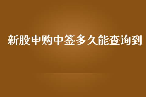 新股申购中签多久能查询到_https://wap.jnbaishite.cn_金融资讯_第1张