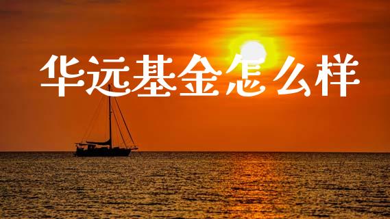 华远基金怎么样_https://wap.jnbaishite.cn_金融资讯_第1张