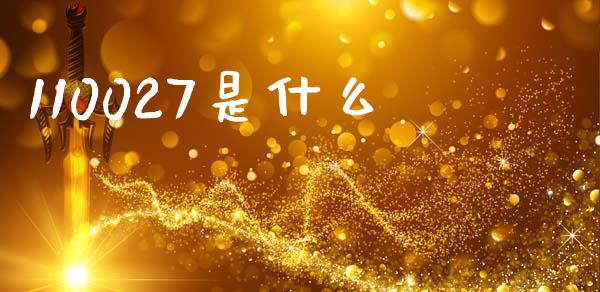 110027是什么_https://wap.jnbaishite.cn_理财投资_第1张