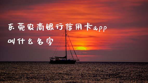 东莞农商银行信用卡app叫什么名字_https://wap.jnbaishite.cn_金融资讯_第1张