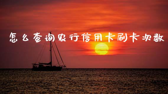 怎么查询农行信用卡刷卡次数_https://wap.jnbaishite.cn_全球财富_第1张